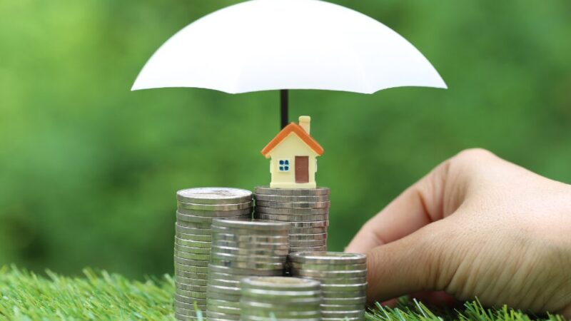 小さなお店でも資産形成はできる──拡大しない選択の価値 